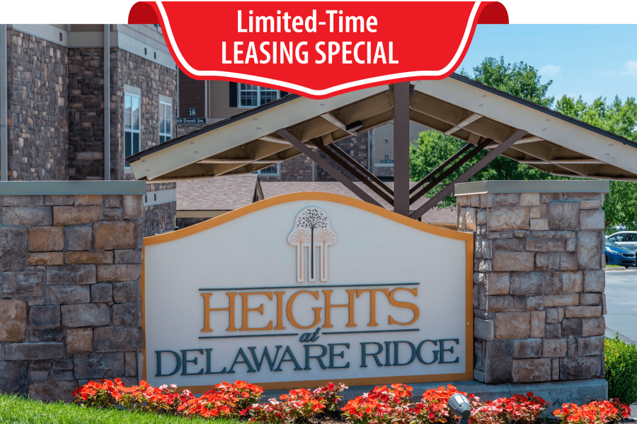 Limited-Time Leasing Special